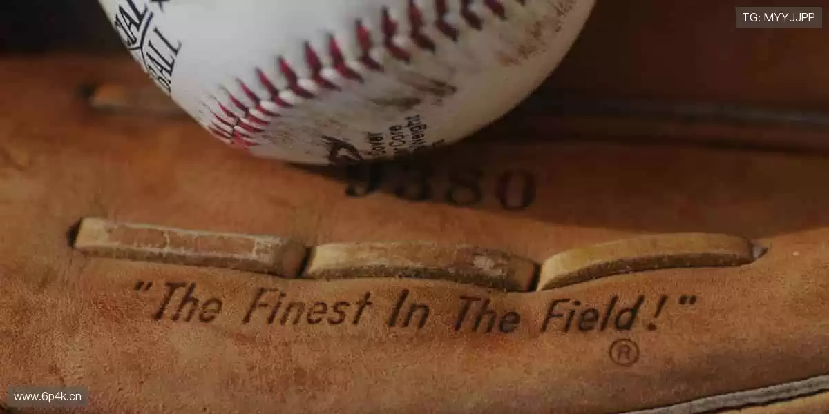 🎉 冠军之路,与你同在,